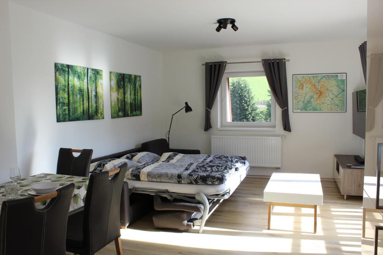 Apartman Skrovanova Horni Lipova エクステリア 写真